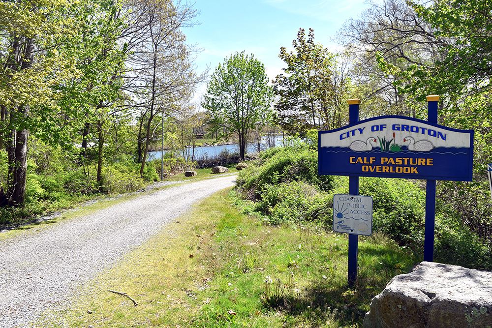Calf Pasture Overlook - Roadview - 2024