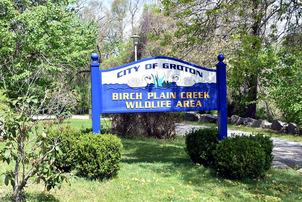 Birch Plain Creek - Sign - 2024