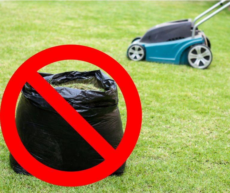 Bagged-Grass-Clippings-No-768x644